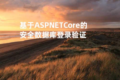 基于 ASP .NET Core 的安全数据库登录验证