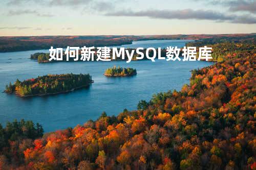 如何新建 MySQL 数据库