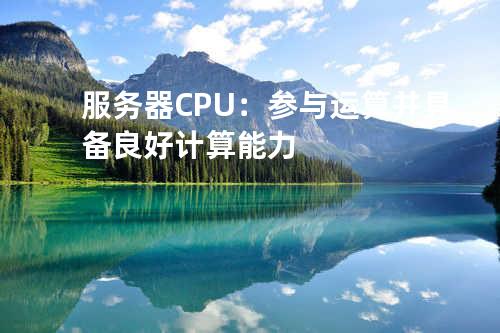 服务器CPU：参与运算并具备良好计算能力