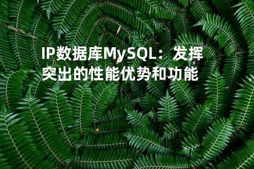 IP 数据库 MySQL：发挥突出的性能优势和功能