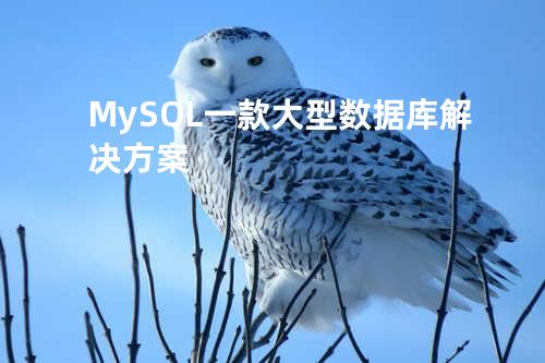 MySQL: 一款大型数据库解决方案