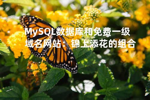 MySQL 数据库和免费一级域名网站：锦上添花的组合