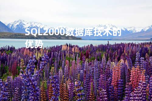 SQL 2000数据库技术的优势