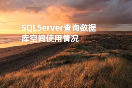 SQL Server查询数据库空间使用情况