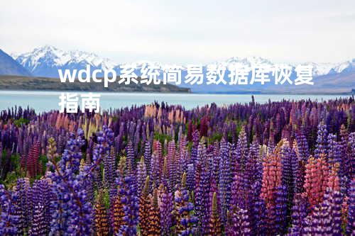 wdcp 系统简易数据库恢复指南